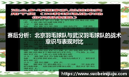 赛后分析：北京羽毛球队与武汉羽毛球队的战术意识与表现对比